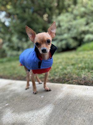 Yucaipa Animal Hospital