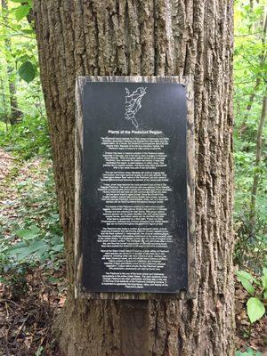 "Plants of the Piedmont Region"