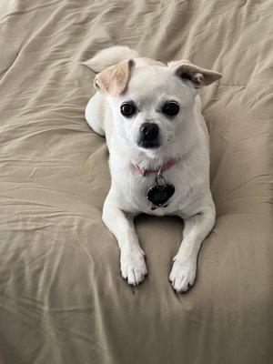 Mia after her spa day