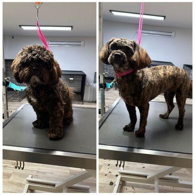 Mrs. Slobberworth's LLC