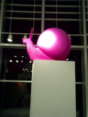 The Snails are Coming Exhibit Opening