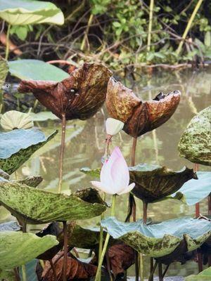 Mike McGee Photography