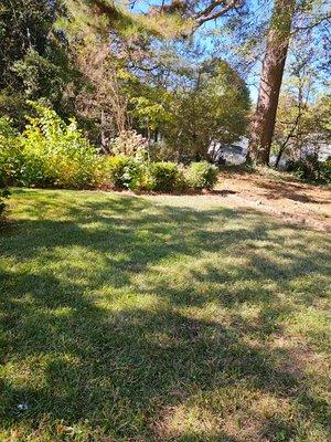 Lifespan Lawn Care