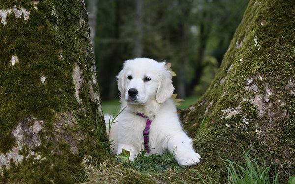 Broadway Animal Clinic