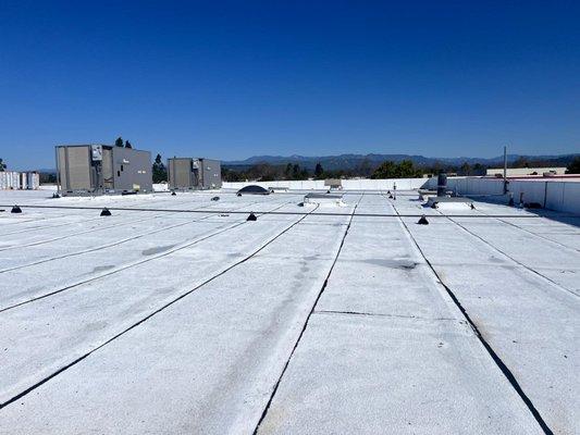 Top Elite Roofing