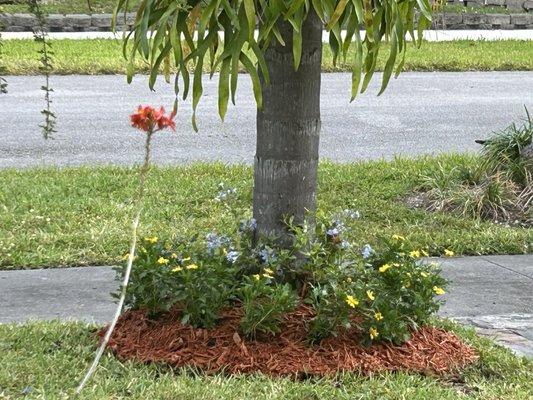 Galloway Farm Nursery