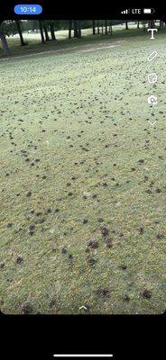 Brenham Country Club