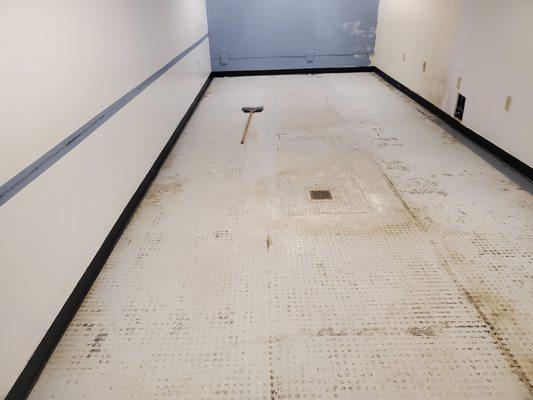 Arlo Installation Services