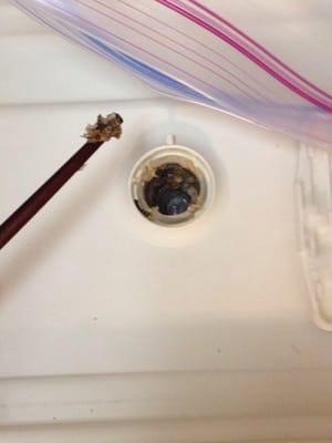 Eastgate Village Apartments