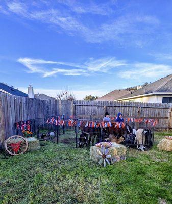 Rumba Petting Farm and Pony Rides