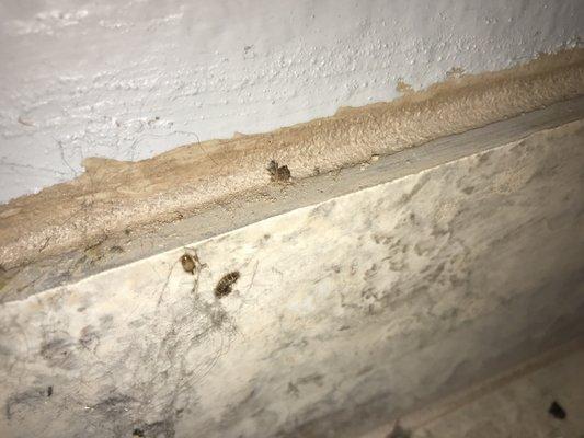 Taylor West Apartments