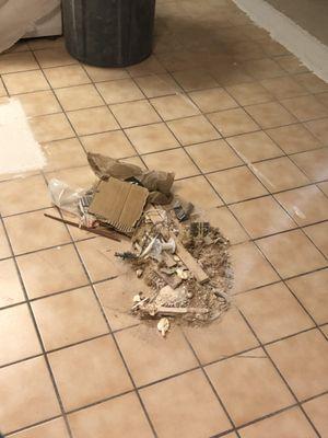 Old Pueblo Remodelers