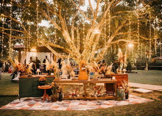 Sonoran Firefly Events