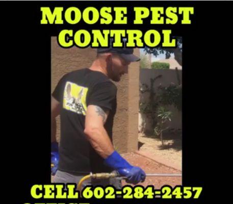 Moose Pest Control