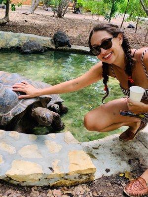 Stingray City Antigua