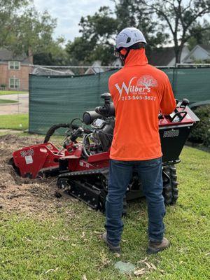 Wilbers Tree service