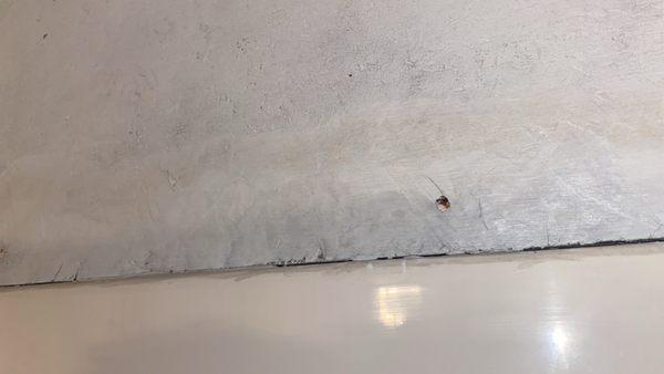 Hillview Terrace Apartments