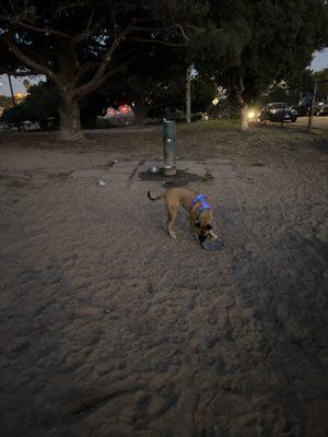 El Segundo Dog Park