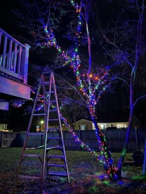 Fannon Property Services