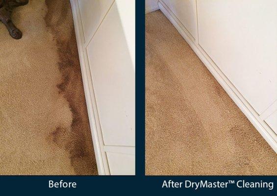 All Saints Carpet Cleaning