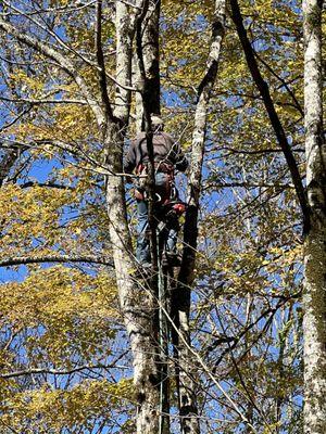 Unlimited Property Management