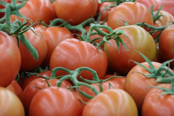 La Tienda Bakery Deli & Tortilla