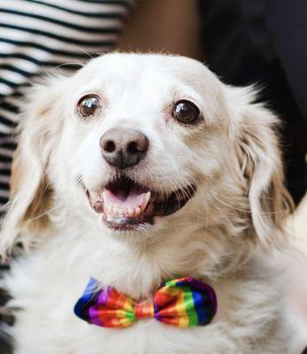 Pacific Animal Clinic