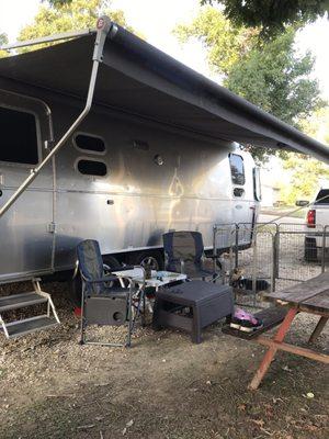 Large trees and nice shady lots.