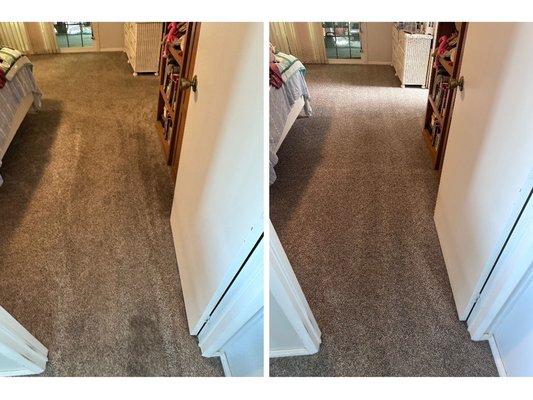 California Quail Cleaning Services