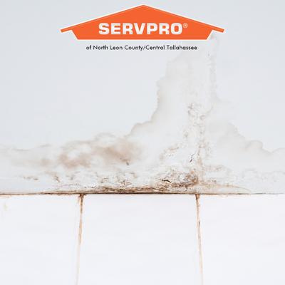 SERVPRO of Central Tallahassee
