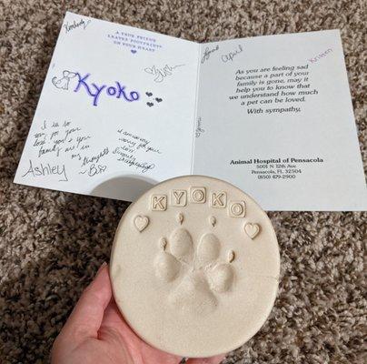 Animal Hospital Of Pensacola