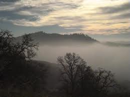 Alcohol and Drug Abuse Council Of Contra Costa