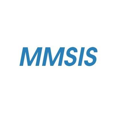 Mmsi Services