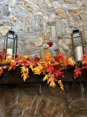 Some photos from the experience!!