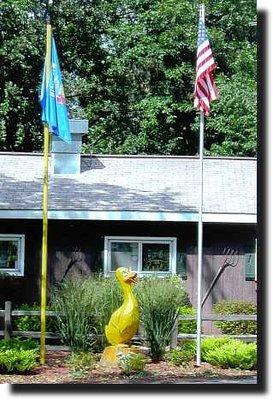 Welcome to Duck Creek ! ! !