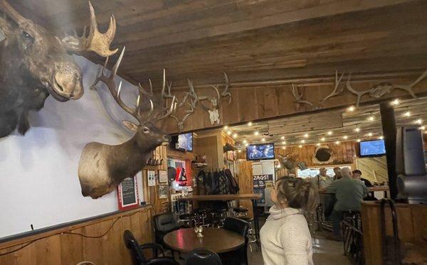 Moose, elk, tvs and sister