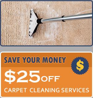 The Little Elm Carpet Cleaning