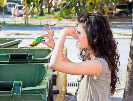 Prestige Trash Bin Cleaning