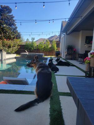 Birdseyehousekeeping