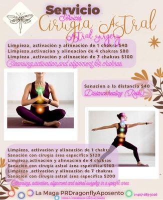 La Maga PRDragonflyAposento