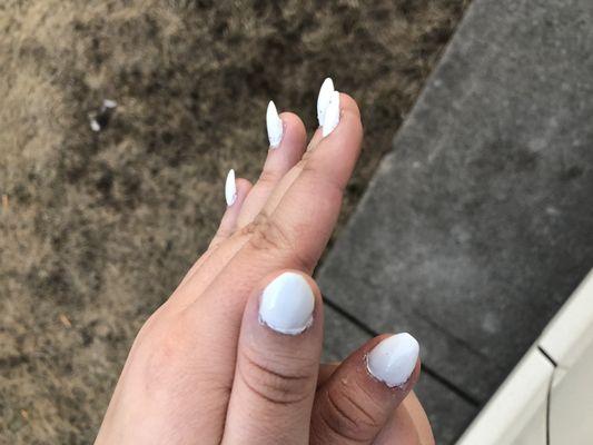 Shayna's Hair & Nail Care