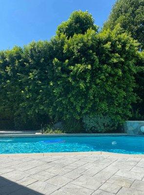 Crystal Pool Services Inc