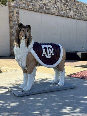 Aggieland Outfitters