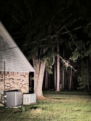 Extreme Stump Grinding and Tree removal