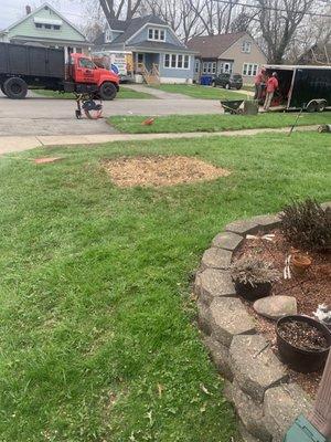 Woodchuck Tree Service