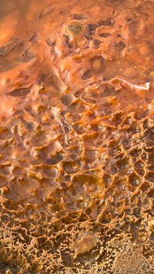 Yellowstone National Park - WEST Entrance