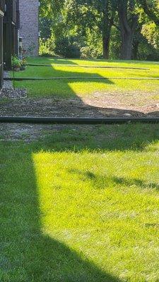 Greendonkey Lawncare