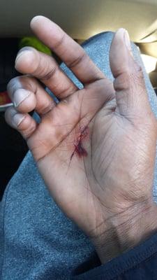 Diamond Creek Leasing Office