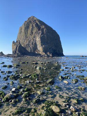 Tolovana Beach Wayside