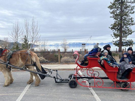 Notice we are in a parking lot (not on trails through the pines as advertised) and our horse's head is cut off (as it was in every photo).